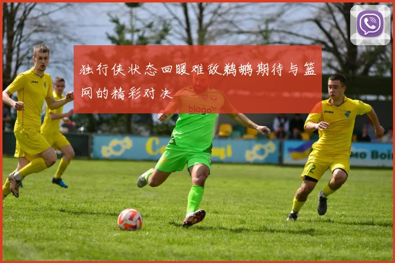 独行侠状态回暖难敌鹈鹕期待与篮网的精彩对决