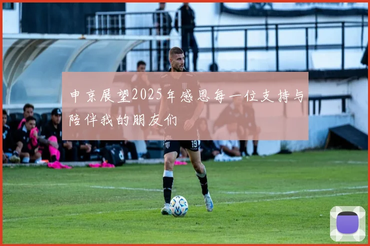 申京展望2025年感恩每一位支持与陪伴我的朋友们