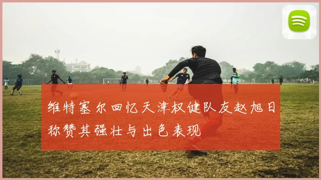 维特塞尔回忆天津权健队友赵旭日称赞其强壮与出色表现