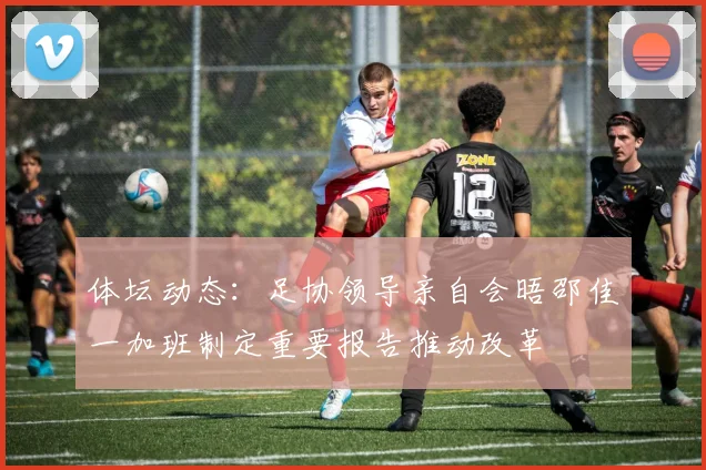 体坛动态：足协领导亲自会晤邵佳一加班制定重要报告推动改革