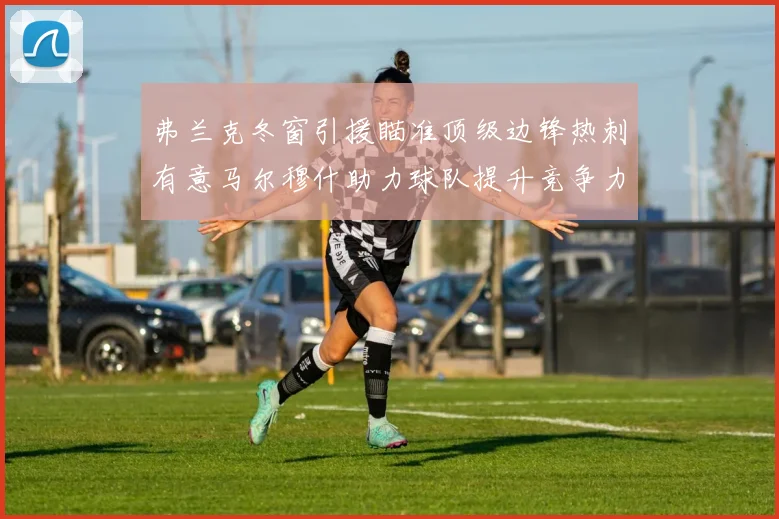 弗兰克冬窗引援瞄准顶级边锋热刺有意马尔穆什助力球队提升竞争力