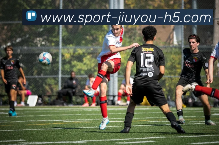 App Interface Preview